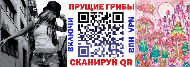 Псилоцибиновые грибы Psilocybe  магазин продажи наркотиков  kraken маркетплейс  Павловск 
